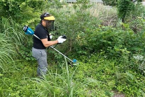 草刈りをしている作業の様子